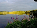 Lac_18.jpg