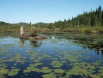 Lac_36.jpg
