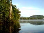 Lac_39.jpg