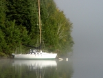 Lac_40.jpg